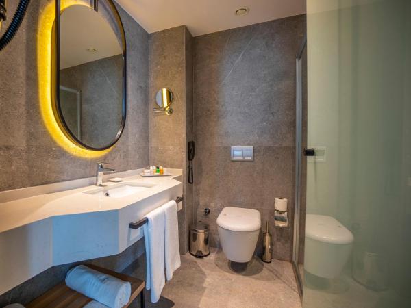 Belek Beach Resort Hotel : photo 6 de la chambre chambre double - vue sur piscine