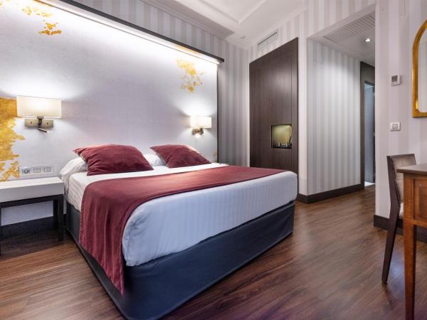 Intelier Palacio San Martin : photo 3 de la chambre chambre double Économique