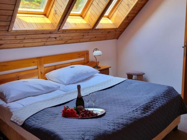 Hotel Karkonosze : photo 8 de la chambre studio supérieur