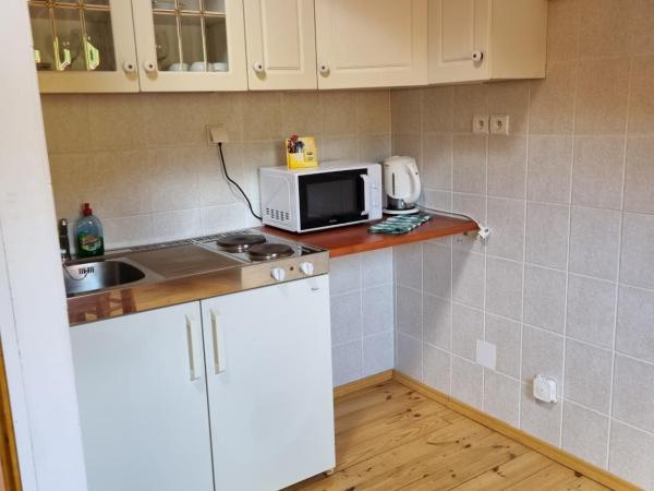 Hotel Karkonosze : photo 4 de la chambre studio supérieur