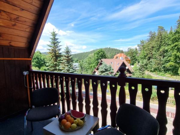 Hotel Karkonosze : photo 9 de la chambre studio supérieur