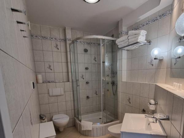 Hotel Karkonosze : photo 10 de la chambre studio supérieur