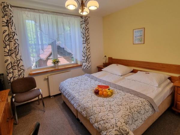 Hotel Karkonosze : photo 2 de la chambre chambre double Économique