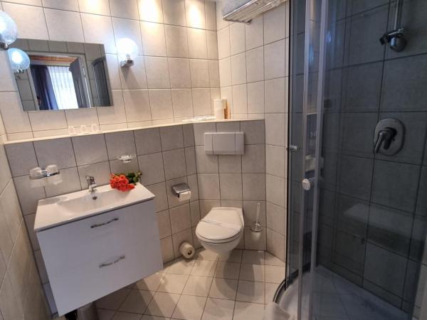 Hotel Karkonosze : photo 4 de la chambre chambre double deluxe avec balcon