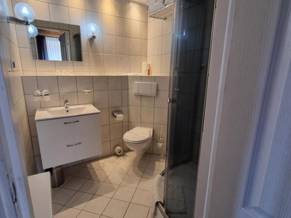 Hotel Karkonosze : photo 5 de la chambre chambre triple