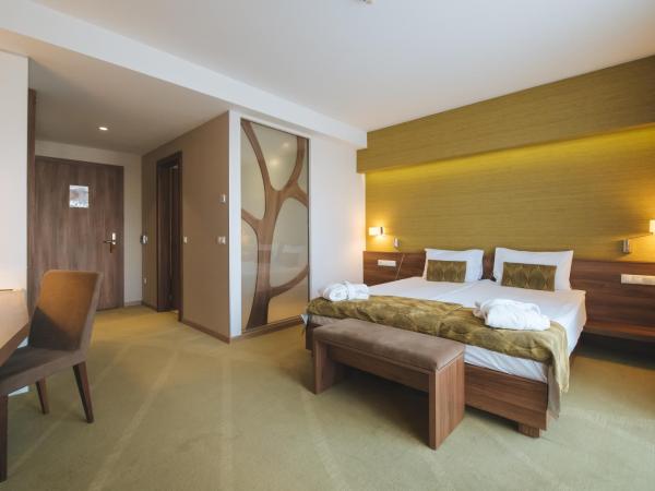 Imola Hotel Platán : photo 5 de la chambre chambre double ou lits jumeaux premium