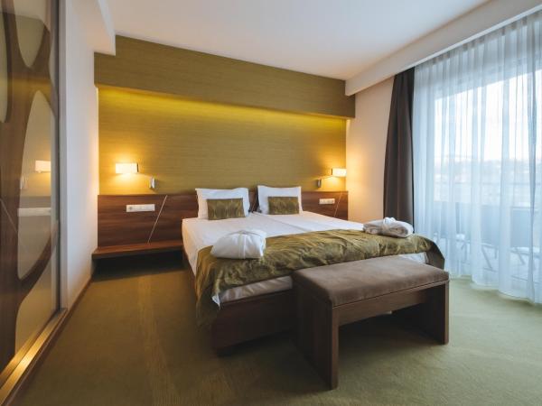 Imola Hotel Platán : photo 4 de la chambre chambre double ou lits jumeaux premium