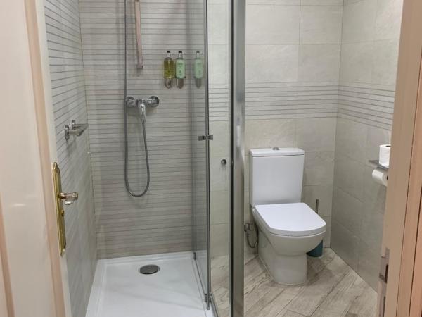 Hostal San Fernando : photo 3 de la chambre chambre quadruple avec salle de bains privative