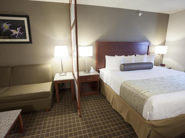 Best Western Plus Peak Vista Inn & Suites : photo 2 de la chambre room #27102614