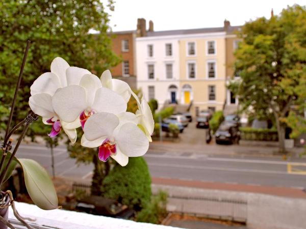 Waterloo Lodge : photo 7 de la chambre chambre triple