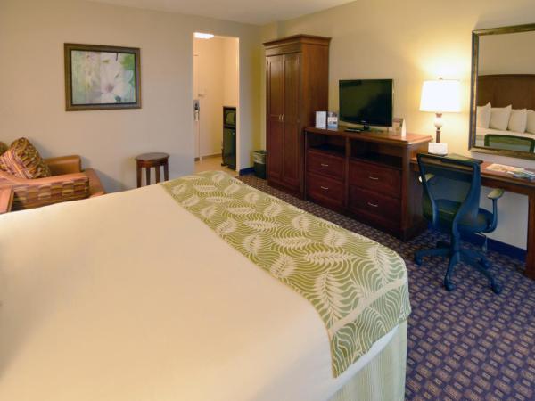 Rosen Inn Closest to Universal : photo 3 de la chambre chambre lit king-size deluxe