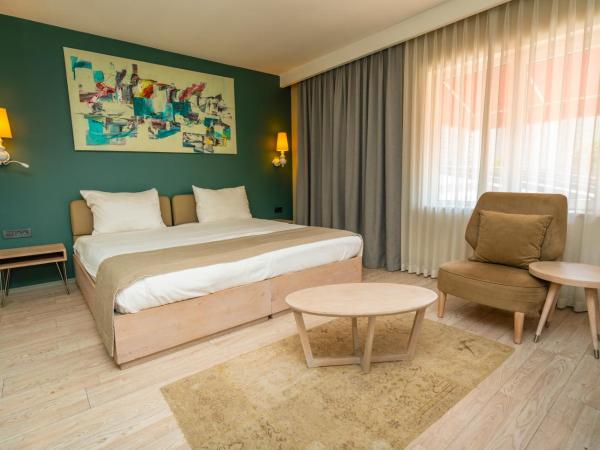 The Gate 30 Suites Ataşehir : photo 7 de la chambre suite exécutive