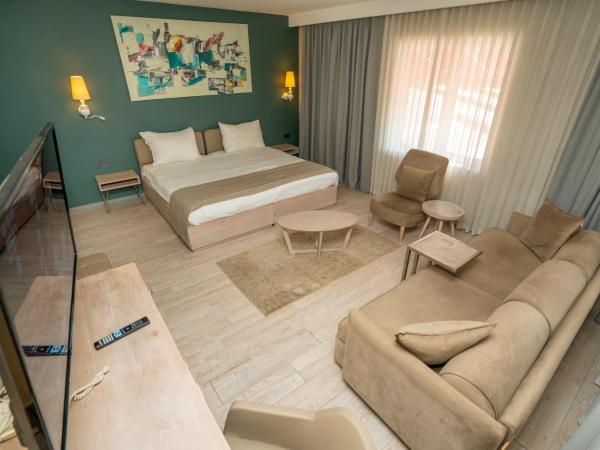 The Gate 30 Suites Ataşehir : photo 9 de la chambre suite exécutive