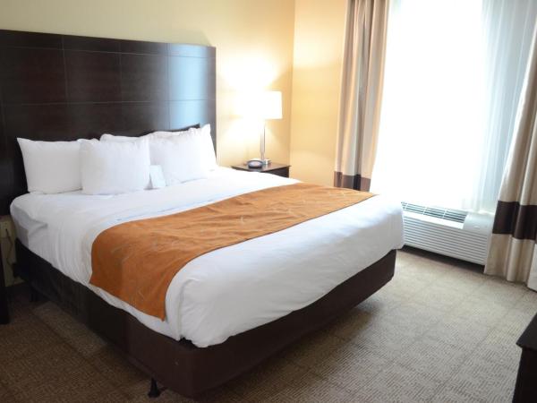 Comfort Suites Northwest - Cy - Fair : photo 1 de la chambre suite lit king-size avec canapé-lit accessible aux personnes à mobilité réduite - non-fumeurs