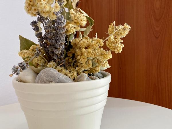 Villa Adria : photo 10 de la chambre comfort three-bedroom holiday home (5 adults) - ive cace 3b street