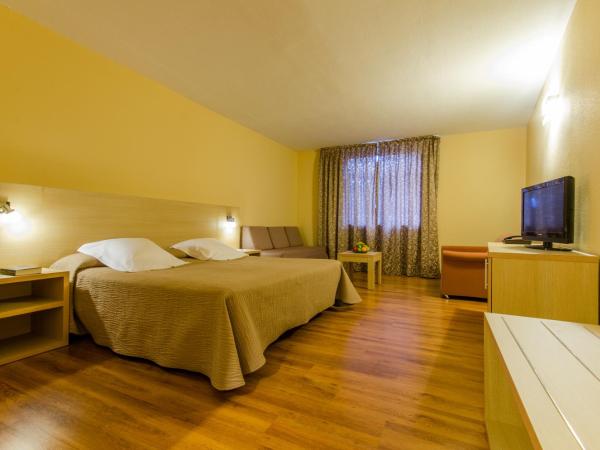 Hotel Panorama : photo 2 de la chambre chambre double avec accès au spa - vue sur montagnes