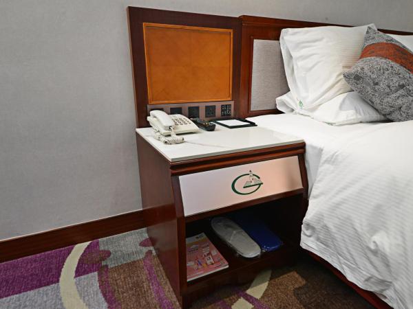 Hotel Guia : photo 8 de la chambre chambre lits jumeaux standard