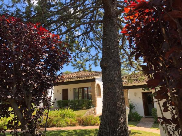 Tottam Art & Healthy Garden : photo 5 de la chambre studio lit king-size deluxe