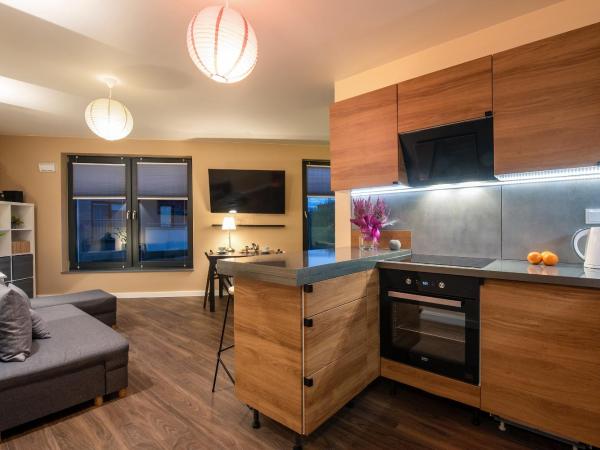 InPoint Apartments G15 near Old Town & Kazimierz : photo 3 de la chambre studio triple standard