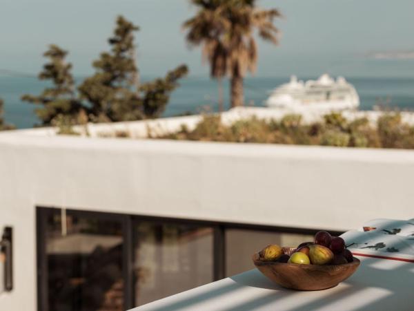 Asty Mykonos Hotel & Spa - World of One Hotel Group : photo 7 de la chambre chambre double supérieure avec piscine privée - vue sur mer
