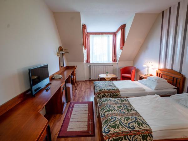 Hotel Erzsébet : photo 2 de la chambre chambre lits jumeaux standard