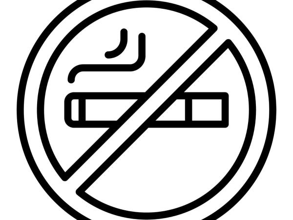 Cocoon Salzburg : photo 10 de la chambre chambre lits jumeaux standard (lits jumeaux)