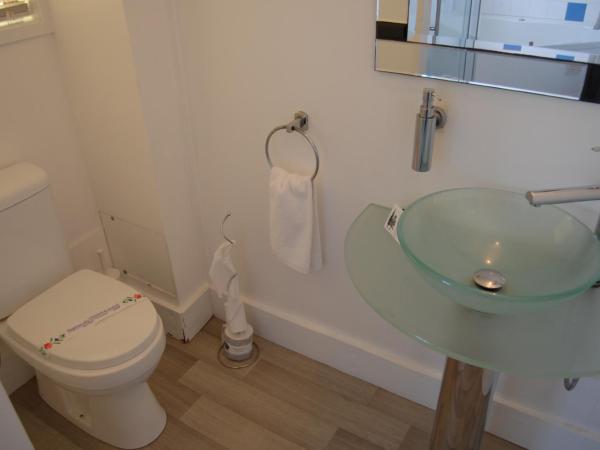 Rotorua Motel : photo 3 de la chambre studio supérieur avec cuisine