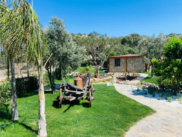 Odette Bodrum : photo 3 de la chambre suite junior dans bungalow