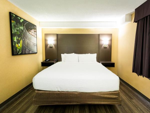 Days Inn by Wyndham Fallsview : photo 1 de la chambre chambre lit king-size - non-fumeurs