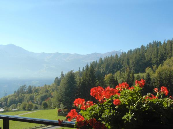 Agriturismo Plan d'Avie : photo 4 de la chambre appartement 1 chambre - vue sur jardin