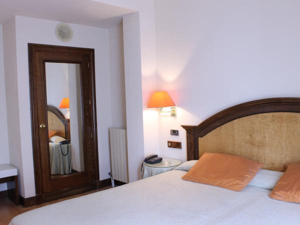 Hotel Monterrey : photo 8 de la chambre chambre double ou lits jumeaux (2 adultes)