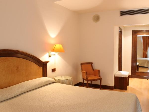 Hotel Monterrey : photo 7 de la chambre chambre double ou lits jumeaux (2 adultes)