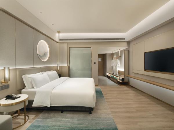 Shenzhen Grand Skylight Garden Hotel : photo 2 de la chambre chambre lit king-size