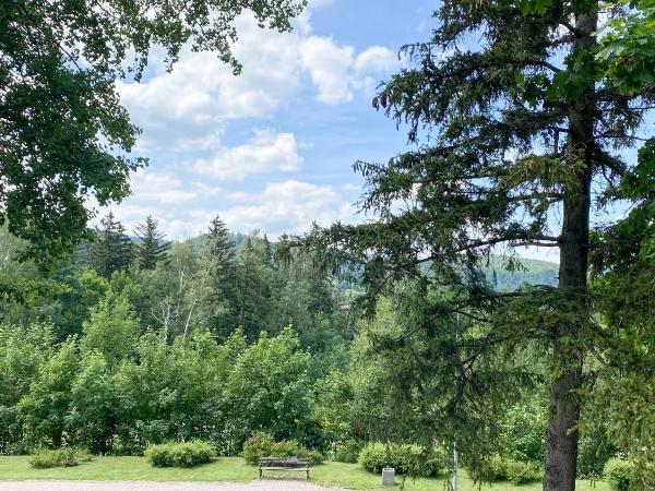 Villa K2 : photo 10 de la chambre appartement 2 chambres