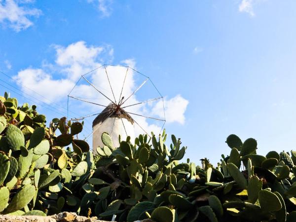 Mykonos Gem : photo 5 de la chambre luxury room in mykonos town