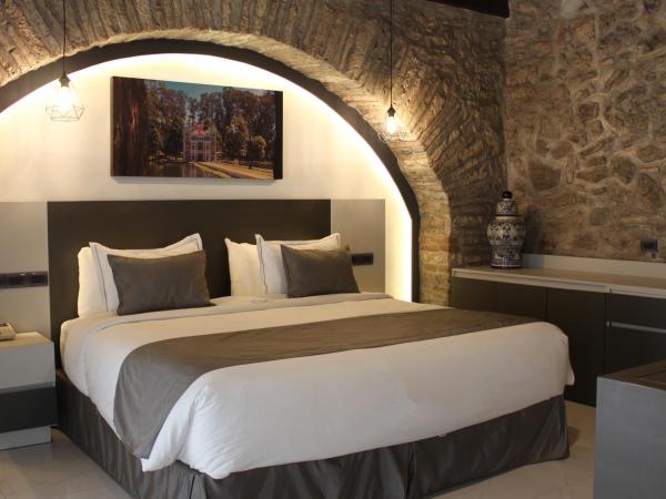 Hotel Boutique Casona de Santa Clara : photo 1 de la chambre suite deluxe avec lit king-size