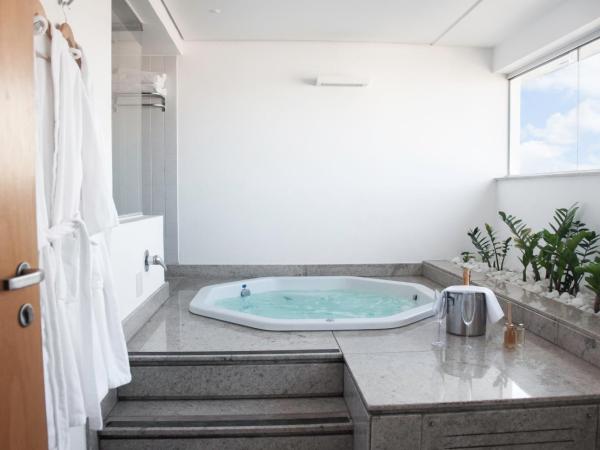 H2 Platinum Lourdes : photo 6 de la chambre penthouse