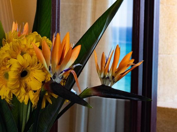 Grande Albergo Delle Rose : photo 2 de la chambre chambre classique - vue sur mer