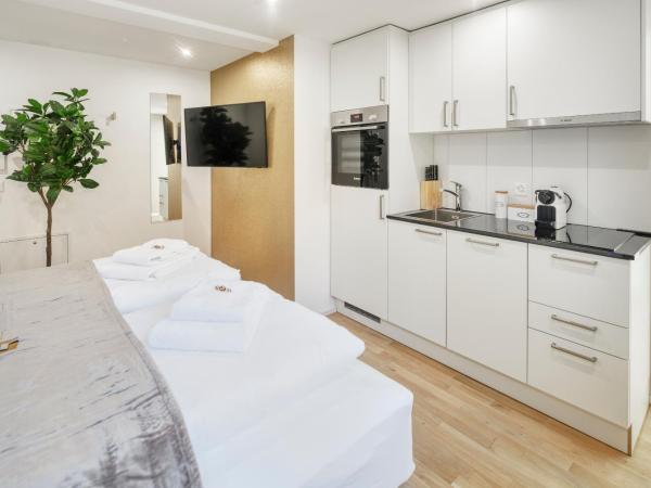 EH Apartments Saturn : photo 1 de la chambre studio lit king-size deluxe