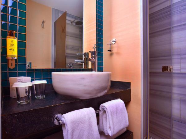 Pera Tulip Hotel & Spa - Taksim Pera City Center : photo 1 de la chambre chambre double ou lits jumeaux supérieure