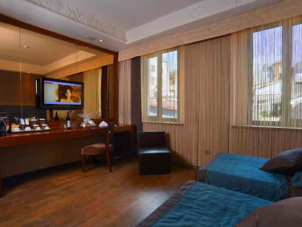 Pera Tulip Hotel & Spa - Taksim Pera City Center : photo 1 de la chambre chambre double exécutive