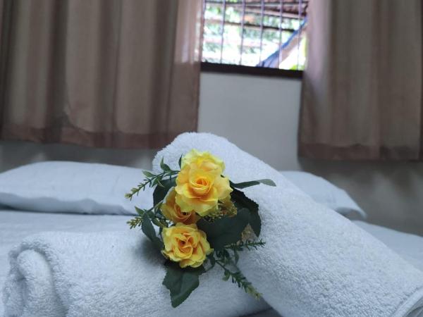 Pousada Flor D' Açucena : photo 1 de la chambre suite deluxe avec baignoire spa