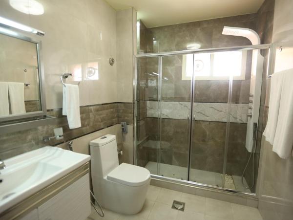 Panorama Hotel Bur Dubai : photo 7 de la chambre chambre simple