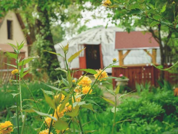Jurta Debrecen : photo 2 de la chambre tente