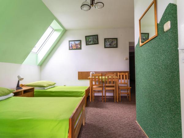 Międzynarodowe Schronisko Młodzieżowe PTSM Szarotka : photo 6 de la chambre chambre triple avec salle de bains privative