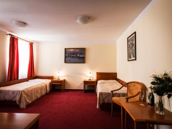 Reitenberger Spa Medical : photo 4 de la chambre chambre double ou lits jumeaux standard