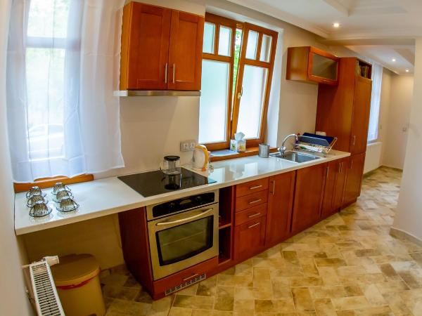 Aranykert Vendégház : photo 7 de la chambre appartement deluxe