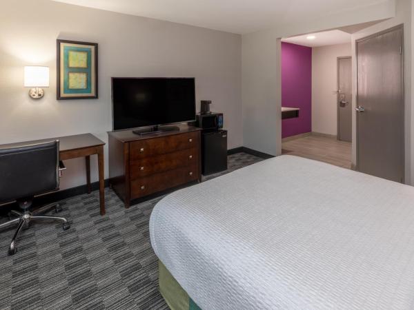 La Quinta by Wyndham Houston NW Brookhollow : photo 6 de la chambre chambre double - accessible aux personnes à mobilité réduite