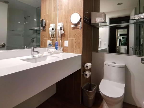 Ramada Encore by Wyndham Guadalajara Aeropuerto : photo 3 de la chambre chambre lit king-size - non-fumeurs