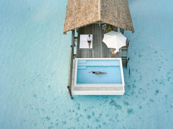 COMO Cocoa Island - Partner Travels FREE for 7 Nights or More : photo 1 de la chambre villa 1 chambre sur pilotis